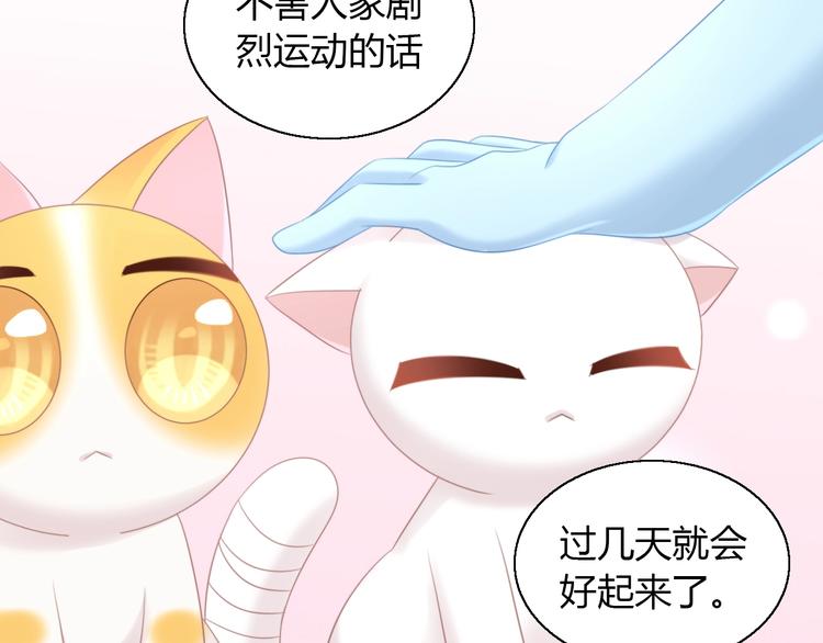 《猫爪之下》漫画最新章节第127话 猫舍C位（三）免费下拉式在线观看章节第【25】张图片