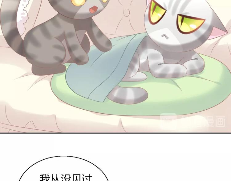 《猫爪之下》漫画最新章节第127话 猫舍C位（三）免费下拉式在线观看章节第【35】张图片