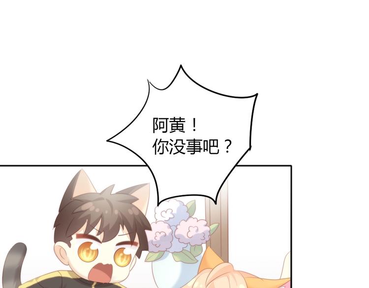 《猫爪之下》漫画最新章节第127话 猫舍C位（三）免费下拉式在线观看章节第【71】张图片