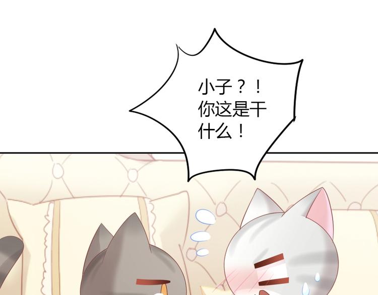 《猫爪之下》漫画最新章节第127话 猫舍C位（三）免费下拉式在线观看章节第【80】张图片