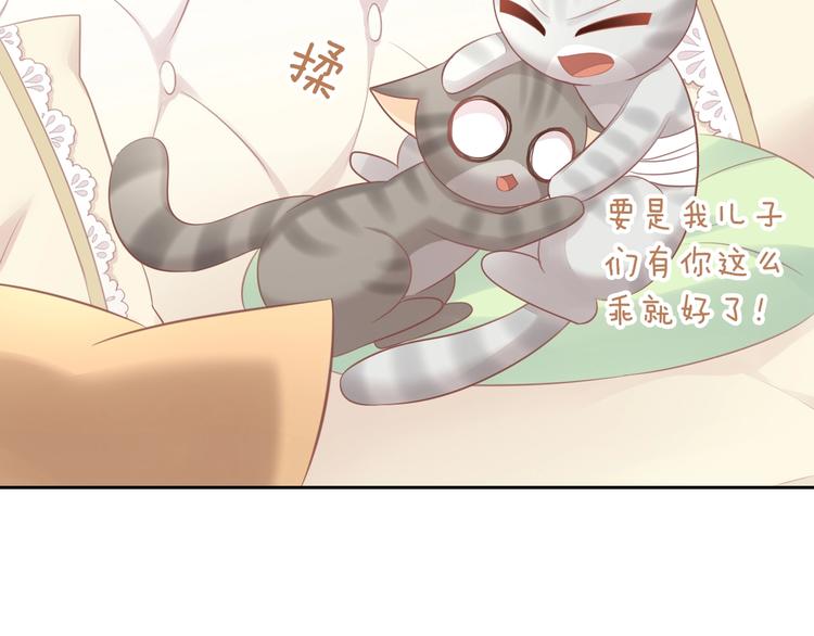 《猫爪之下》漫画最新章节第127话 猫舍C位（三）免费下拉式在线观看章节第【91】张图片