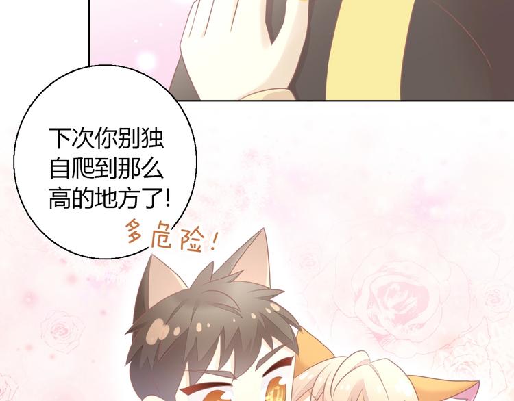 《猫爪之下》漫画最新章节第128话 猫舍C位（四）免费下拉式在线观看章节第【13】张图片