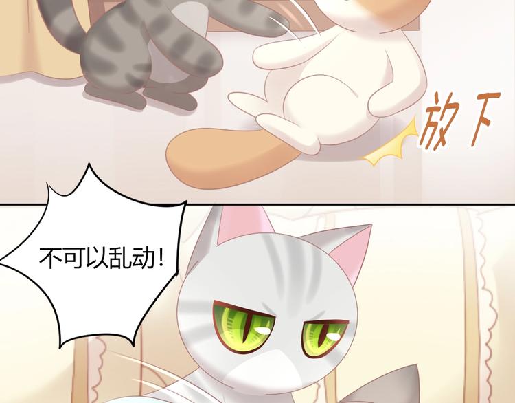 《猫爪之下》漫画最新章节第128话 猫舍C位（四）免费下拉式在线观看章节第【19】张图片