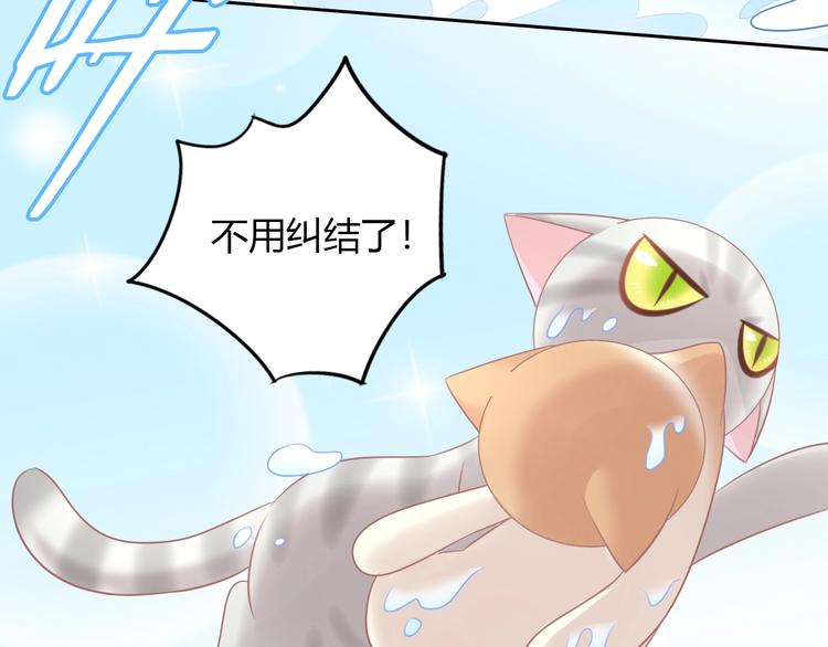 《猫爪之下》漫画最新章节第128话 猫舍C位（四）免费下拉式在线观看章节第【74】张图片