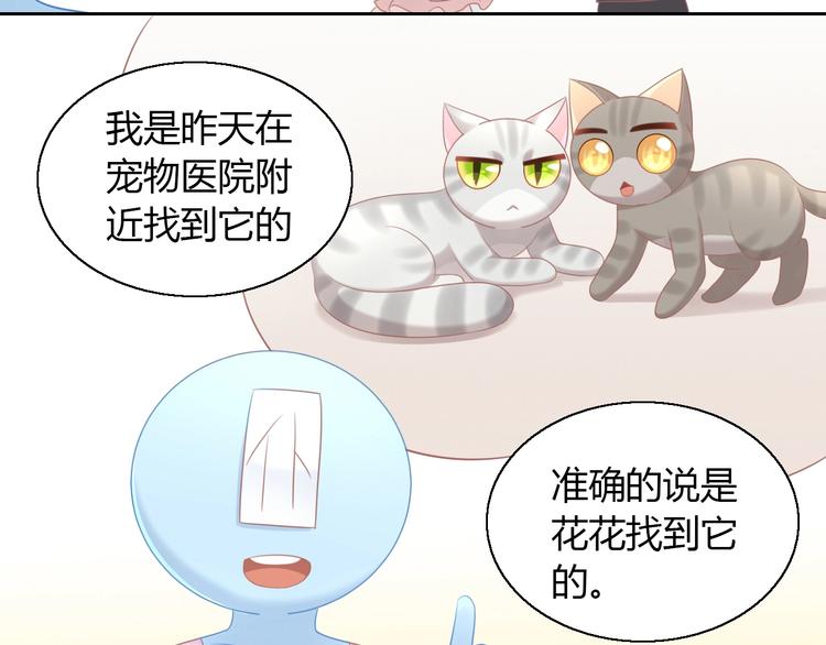 《猫爪之下》漫画最新章节第129话 猫舍C位（五）免费下拉式在线观看章节第【24】张图片