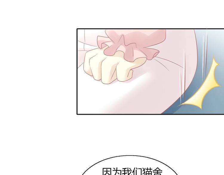 《猫爪之下》漫画最新章节第129话 猫舍C位（五）免费下拉式在线观看章节第【36】张图片