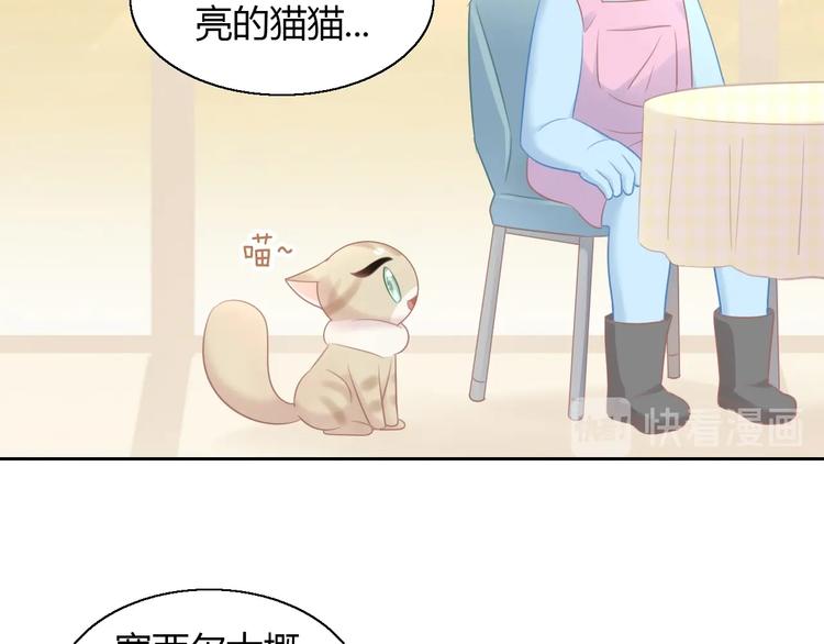 《猫爪之下》漫画最新章节第129话 猫舍C位（五）免费下拉式在线观看章节第【39】张图片