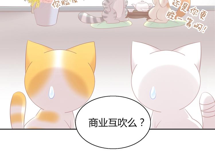 《猫爪之下》漫画最新章节第129话 猫舍C位（五）免费下拉式在线观看章节第【77】张图片