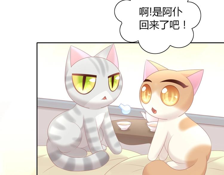 《猫爪之下》漫画最新章节第129话 猫舍C位（五）免费下拉式在线观看章节第【79】张图片