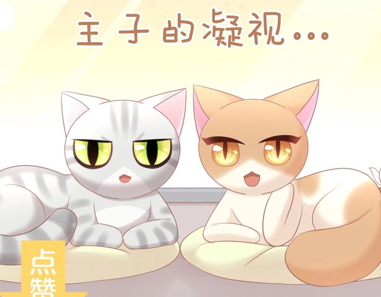 《猫爪之下》漫画最新章节第129话 猫舍C位（五）免费下拉式在线观看章节第【99】张图片