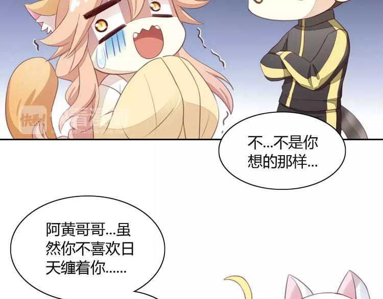 《猫爪之下》漫画最新章节第14话  萌宠失踪免费下拉式在线观看章节第【33】张图片