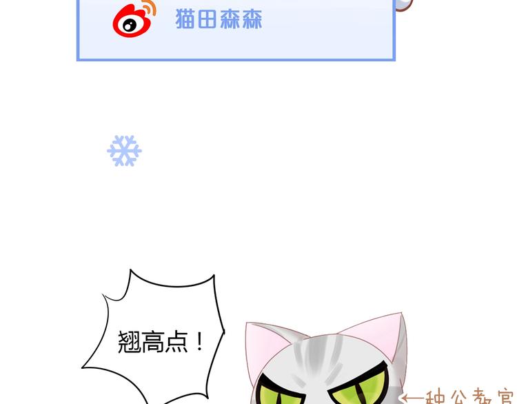 《猫爪之下》漫画最新章节第130话 猫舍C位（六）免费下拉式在线观看章节第【101】张图片