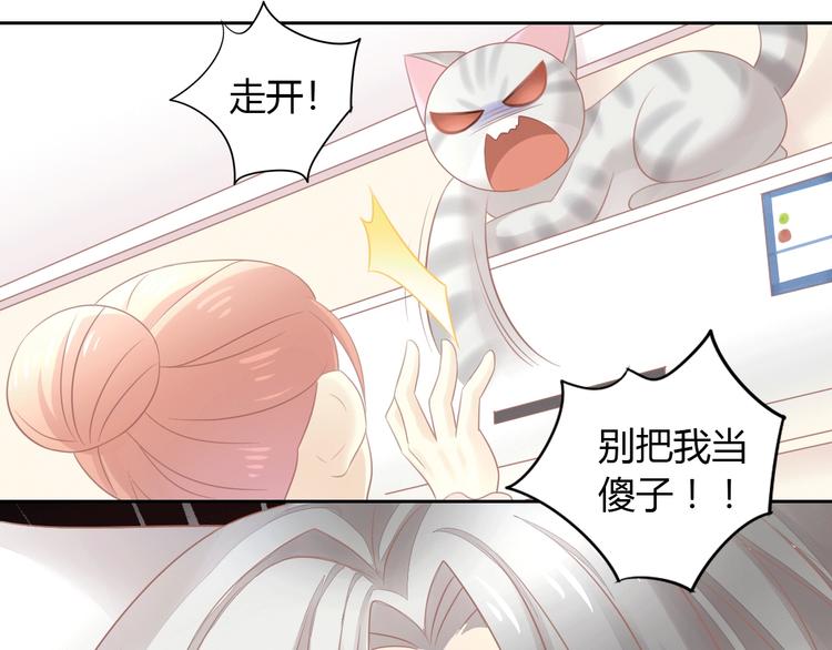 《猫爪之下》漫画最新章节第130话 猫舍C位（六）免费下拉式在线观看章节第【26】张图片