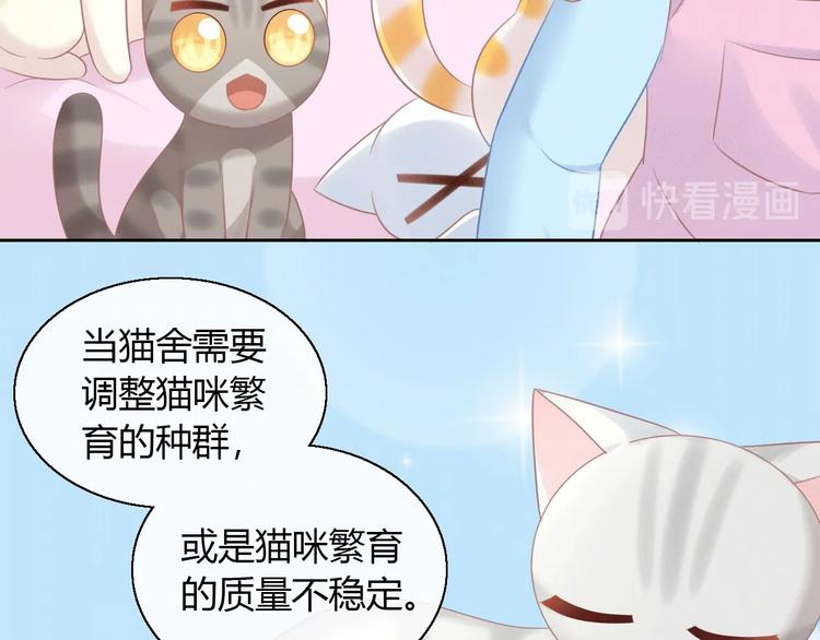 《猫爪之下》漫画最新章节第130话 猫舍C位（六）免费下拉式在线观看章节第【30】张图片