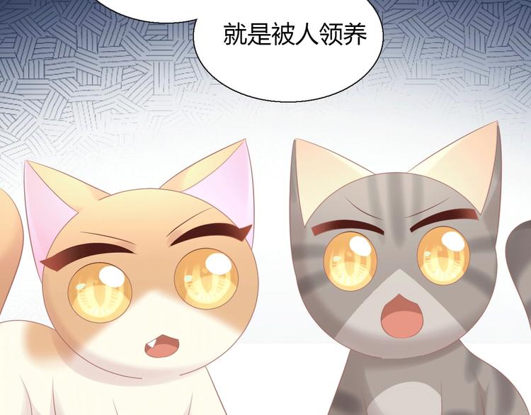 《猫爪之下》漫画最新章节第130话 猫舍C位（六）免费下拉式在线观看章节第【33】张图片