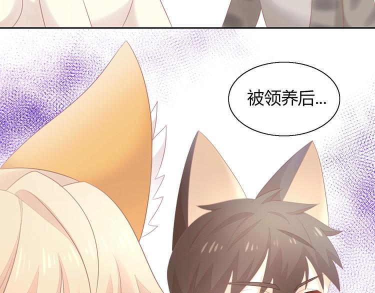 《猫爪之下》漫画最新章节第130话 猫舍C位（六）免费下拉式在线观看章节第【34】张图片