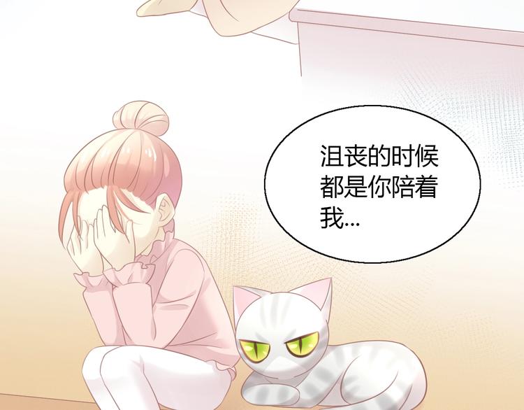 《猫爪之下》漫画最新章节第130话 猫舍C位（六）免费下拉式在线观看章节第【51】张图片