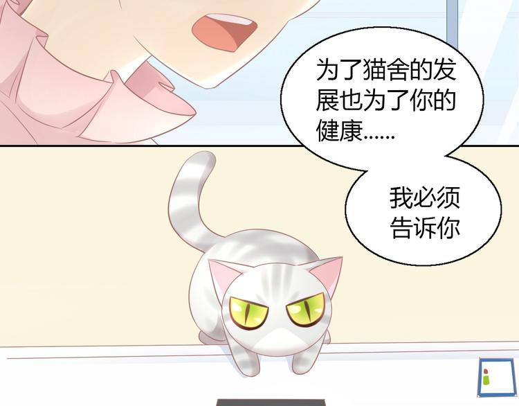 《猫爪之下》漫画最新章节第130话 猫舍C位（六）免费下拉式在线观看章节第【53】张图片