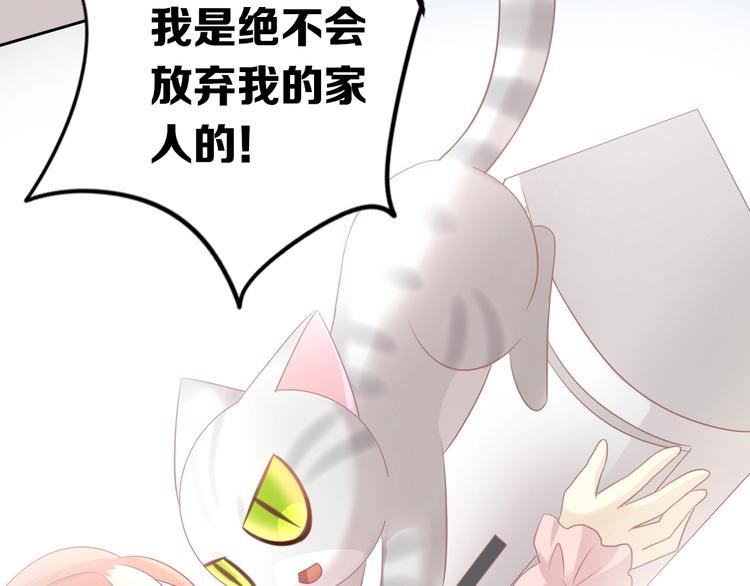 《猫爪之下》漫画最新章节第130话 猫舍C位（六）免费下拉式在线观看章节第【60】张图片