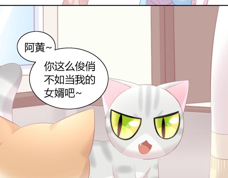 《猫爪之下》漫画最新章节第130话 猫舍C位（六）免费下拉式在线观看章节第【77】张图片