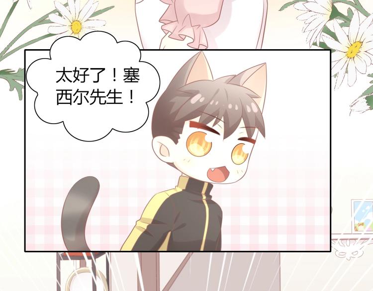 《猫爪之下》漫画最新章节第130话 猫舍C位（六）免费下拉式在线观看章节第【9】张图片