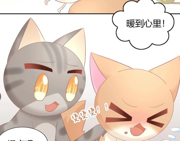 《猫爪之下》漫画最新章节第130话 猫舍C位（六）免费下拉式在线观看章节第【98】张图片