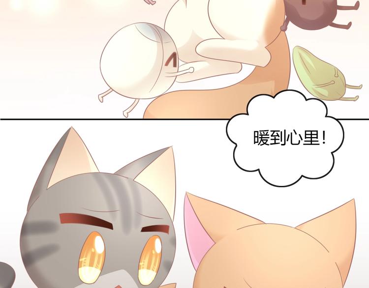 《猫爪之下》漫画最新章节第131话 小寒免费下拉式在线观看章节第【67】张图片