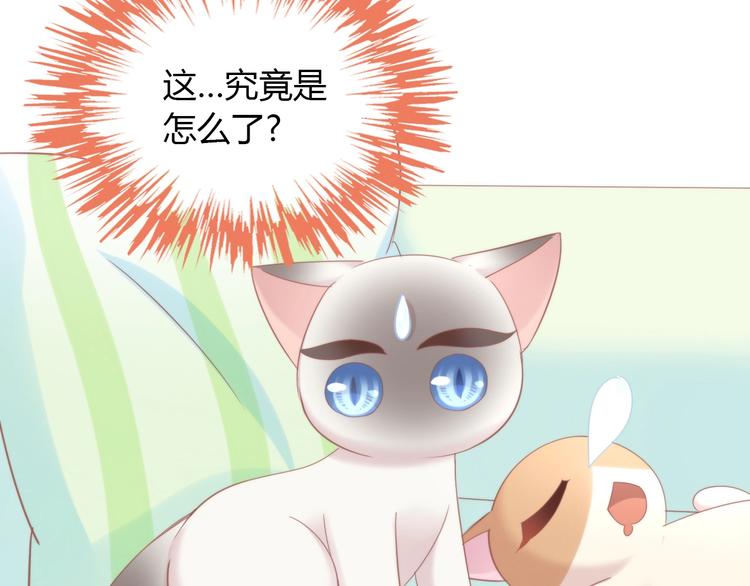 《猫爪之下》漫画最新章节第133话 撸猫技师（一）免费下拉式在线观看章节第【31】张图片