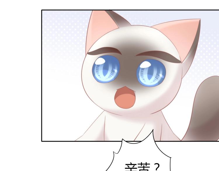 《猫爪之下》漫画最新章节第133话 撸猫技师（一）免费下拉式在线观看章节第【35】张图片