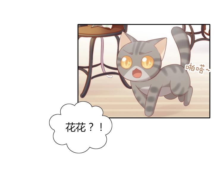 《猫爪之下》漫画最新章节第133话 撸猫技师（一）免费下拉式在线观看章节第【60】张图片