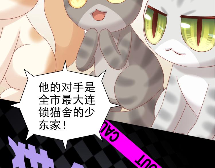 《猫爪之下》漫画最新章节第134话  撸猫技师（二）免费下拉式在线观看章节第【11】张图片