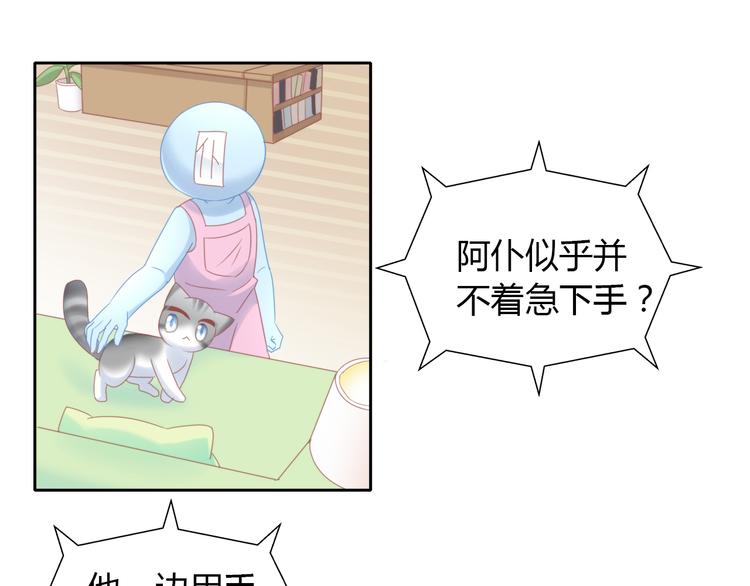 《猫爪之下》漫画最新章节第134话  撸猫技师（二）免费下拉式在线观看章节第【50】张图片