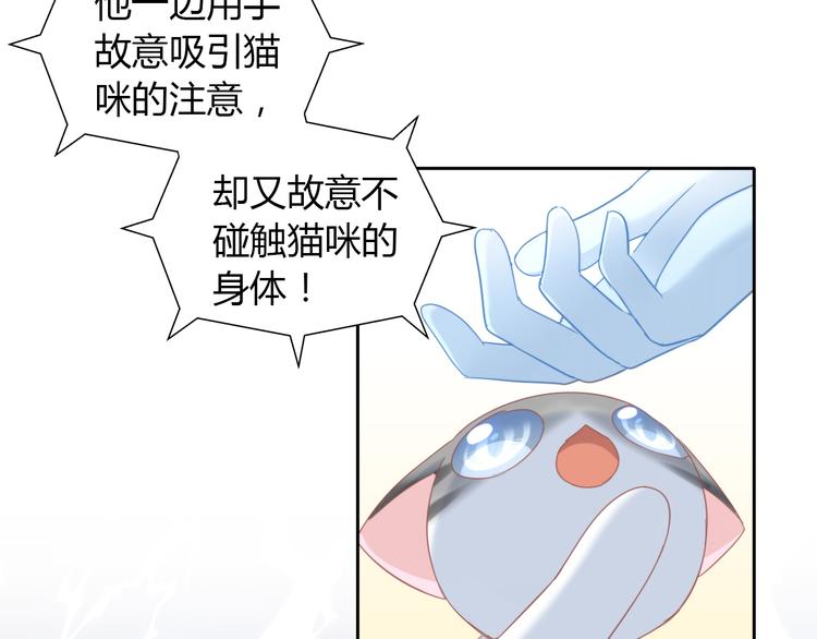 《猫爪之下》漫画最新章节第134话  撸猫技师（二）免费下拉式在线观看章节第【51】张图片