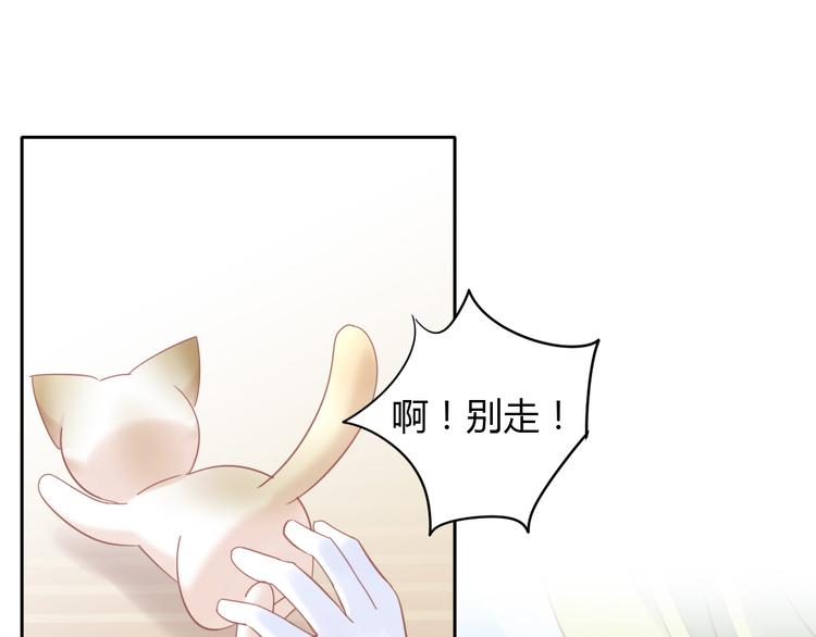 《猫爪之下》漫画最新章节第134话  撸猫技师（二）免费下拉式在线观看章节第【54】张图片