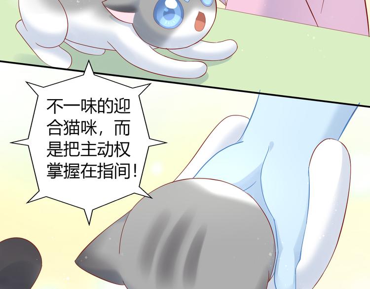 《猫爪之下》漫画最新章节第134话  撸猫技师（二）免费下拉式在线观看章节第【65】张图片