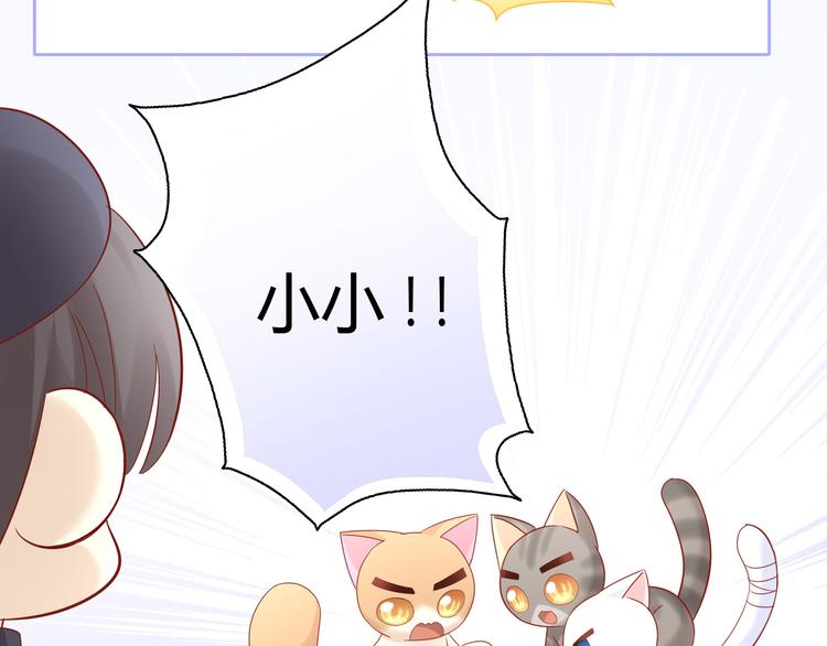 《猫爪之下》漫画最新章节第135话 撸猫技师（三）免费下拉式在线观看章节第【42】张图片