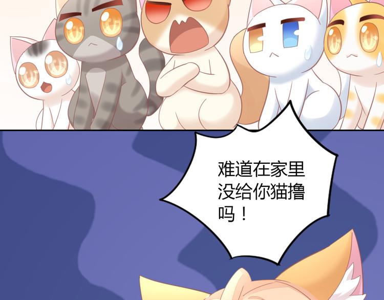 《猫爪之下》漫画最新章节第136话 撸猫技师（四）免费下拉式在线观看章节第【18】张图片