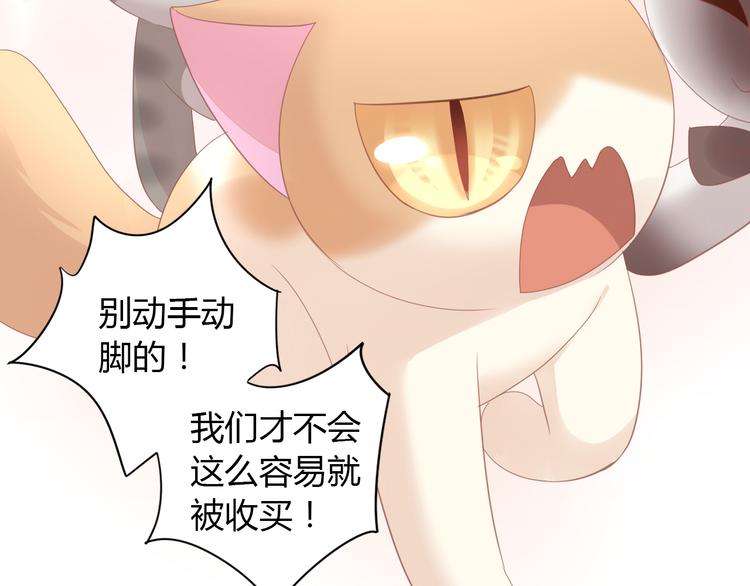 《猫爪之下》漫画最新章节第136话 撸猫技师（四）免费下拉式在线观看章节第【22】张图片