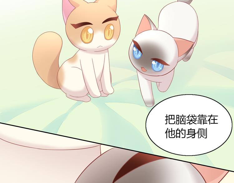 《猫爪之下》漫画最新章节第136话 撸猫技师（四）免费下拉式在线观看章节第【31】张图片