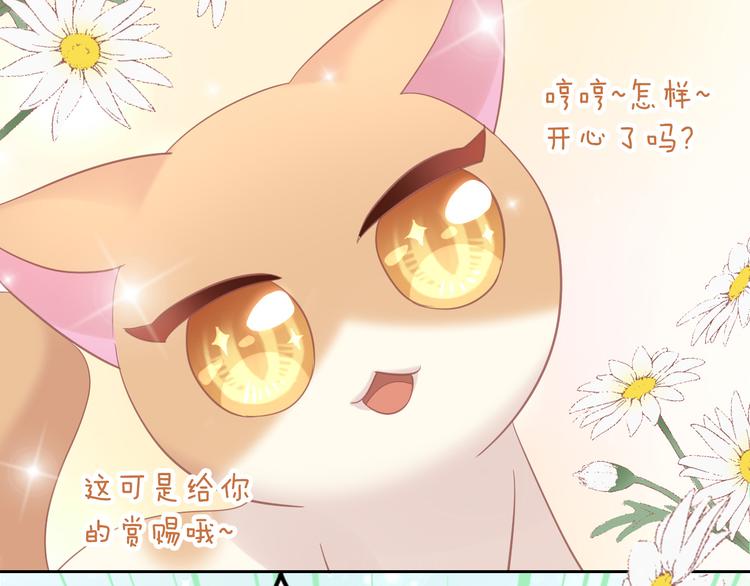 《猫爪之下》漫画最新章节第136话 撸猫技师（四）免费下拉式在线观看章节第【56】张图片