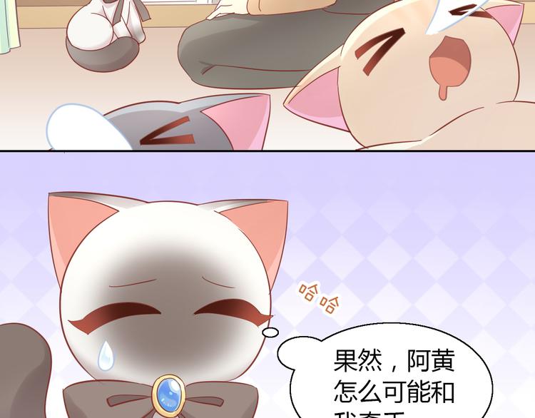 《猫爪之下》漫画最新章节第136话 撸猫技师（四）免费下拉式在线观看章节第【78】张图片