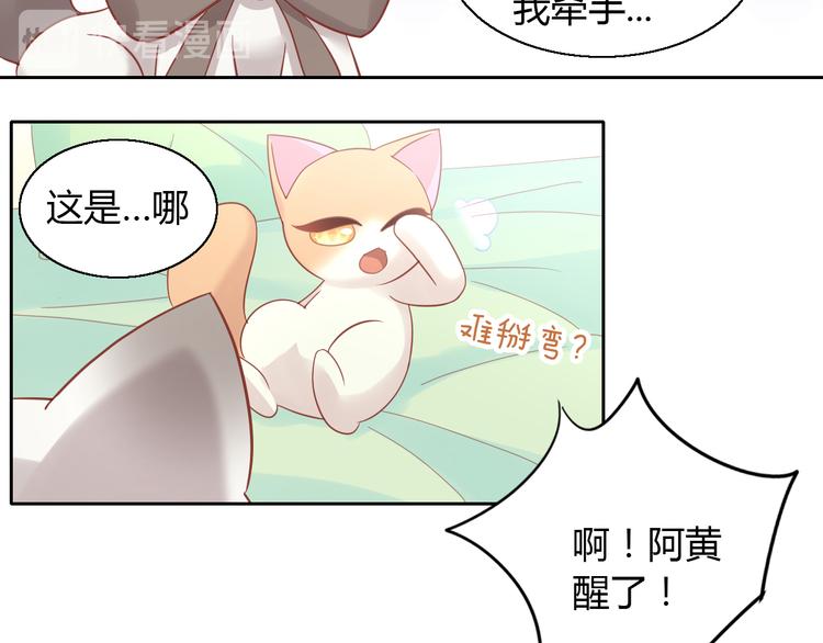 《猫爪之下》漫画最新章节第136话 撸猫技师（四）免费下拉式在线观看章节第【79】张图片