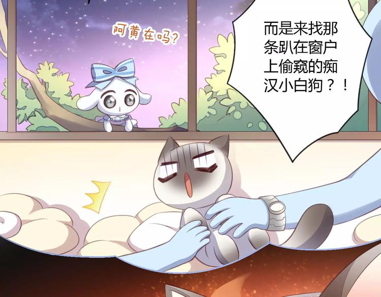 《猫爪之下》漫画最新章节第15话  虚惊一场免费下拉式在线观看章节第【13】张图片