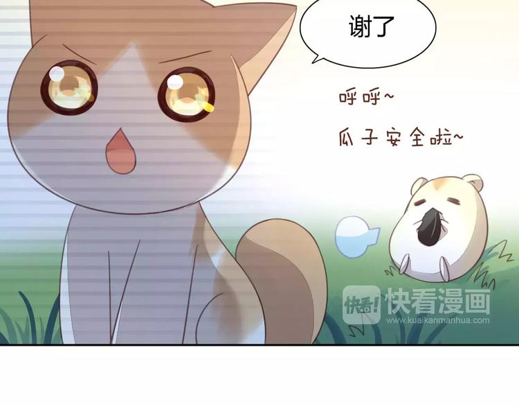 《猫爪之下》漫画最新章节第15话  虚惊一场免费下拉式在线观看章节第【41】张图片