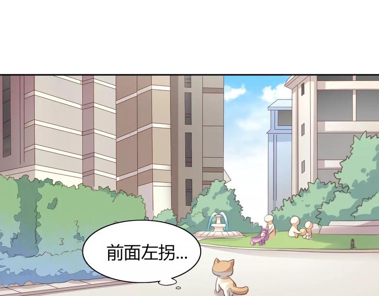 《猫爪之下》漫画最新章节第15话  虚惊一场免费下拉式在线观看章节第【42】张图片