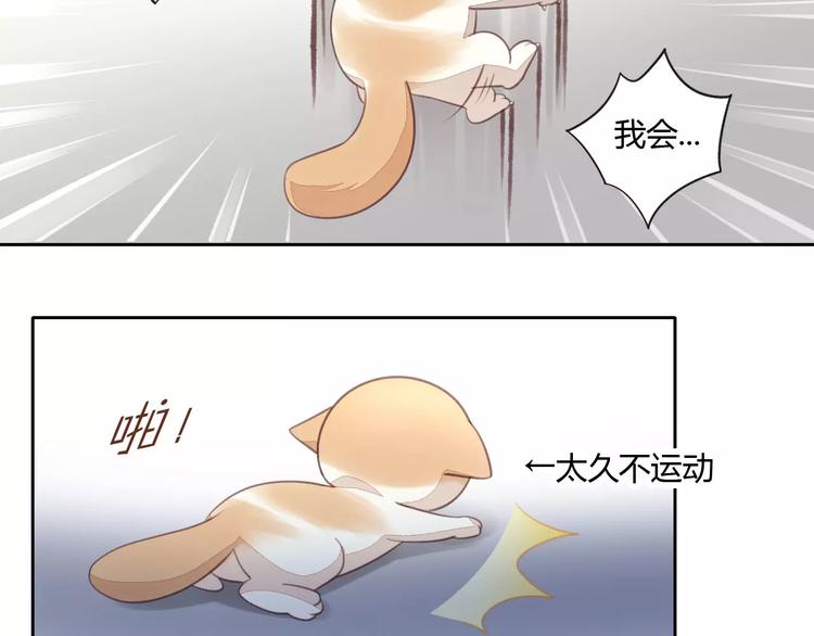 《猫爪之下》漫画最新章节第15话  虚惊一场免费下拉式在线观看章节第【64】张图片