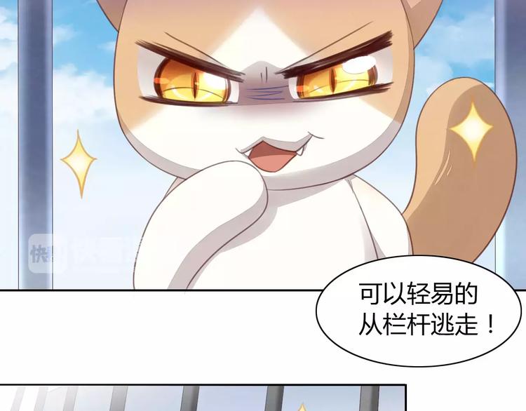 《猫爪之下》漫画最新章节第15话  虚惊一场免费下拉式在线观看章节第【80】张图片