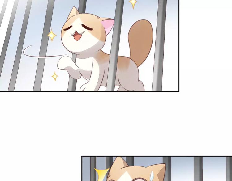 《猫爪之下》漫画最新章节第15话  虚惊一场免费下拉式在线观看章节第【81】张图片