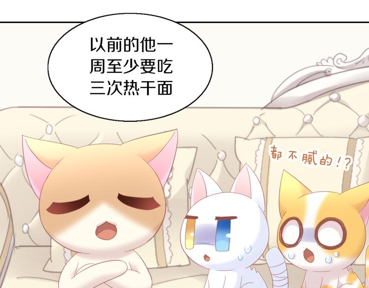 《猫爪之下》漫画最新章节第142话 高仿热干面免费下拉式在线观看章节第【39】张图片