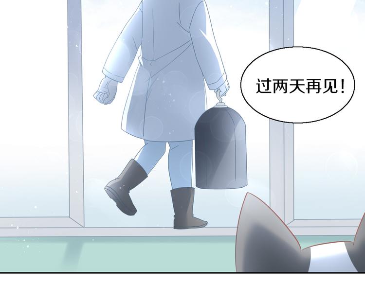 《猫爪之下》漫画最新章节第143话 腮红鹦鹉免费下拉式在线观看章节第【31】张图片